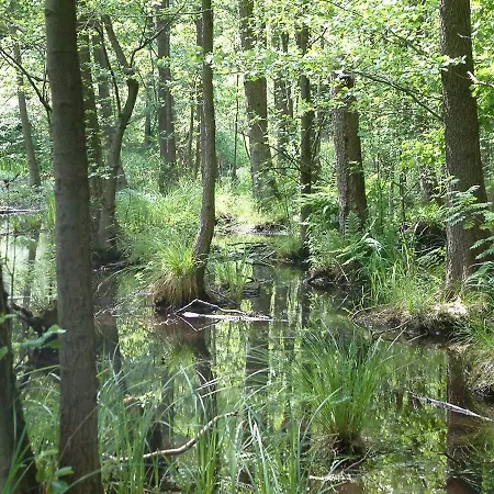 Senfmühle Apartment *