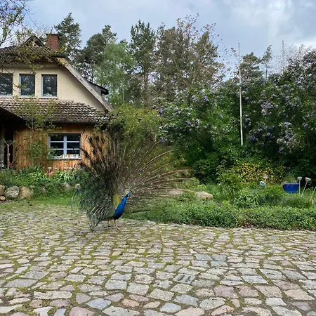 Senfmühle Apartment