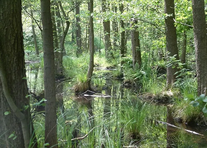 Senfmühle Apartment *