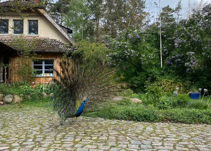 Senfmühle Apartment